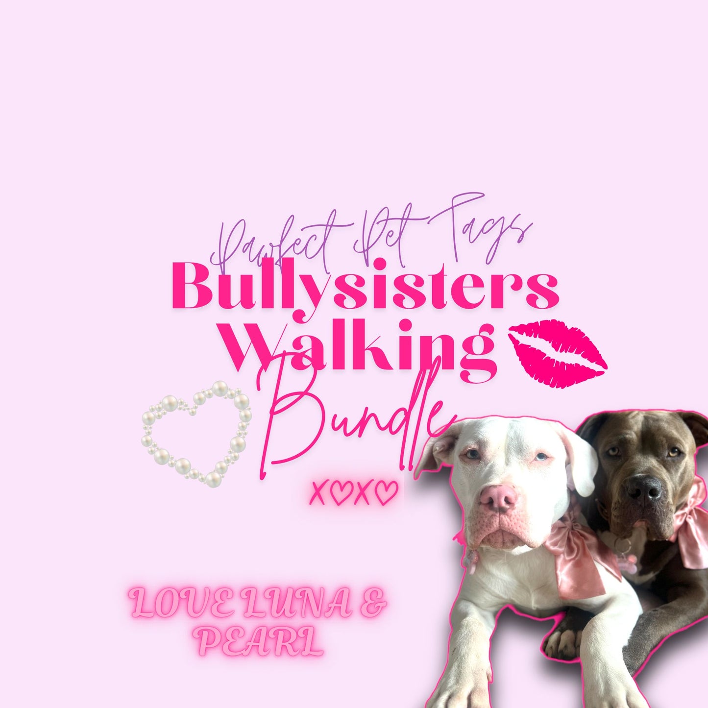 BullySisters Walking Bundle